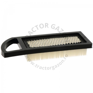 FILTRU AER BRIGGS&STRATTON 33270102 794422 797008 697634 697014 698083 795115 697153 FILTRU AER BRIGGS&STRATTON 33270102 794422 797008 697634 697014 698083 795115 697153